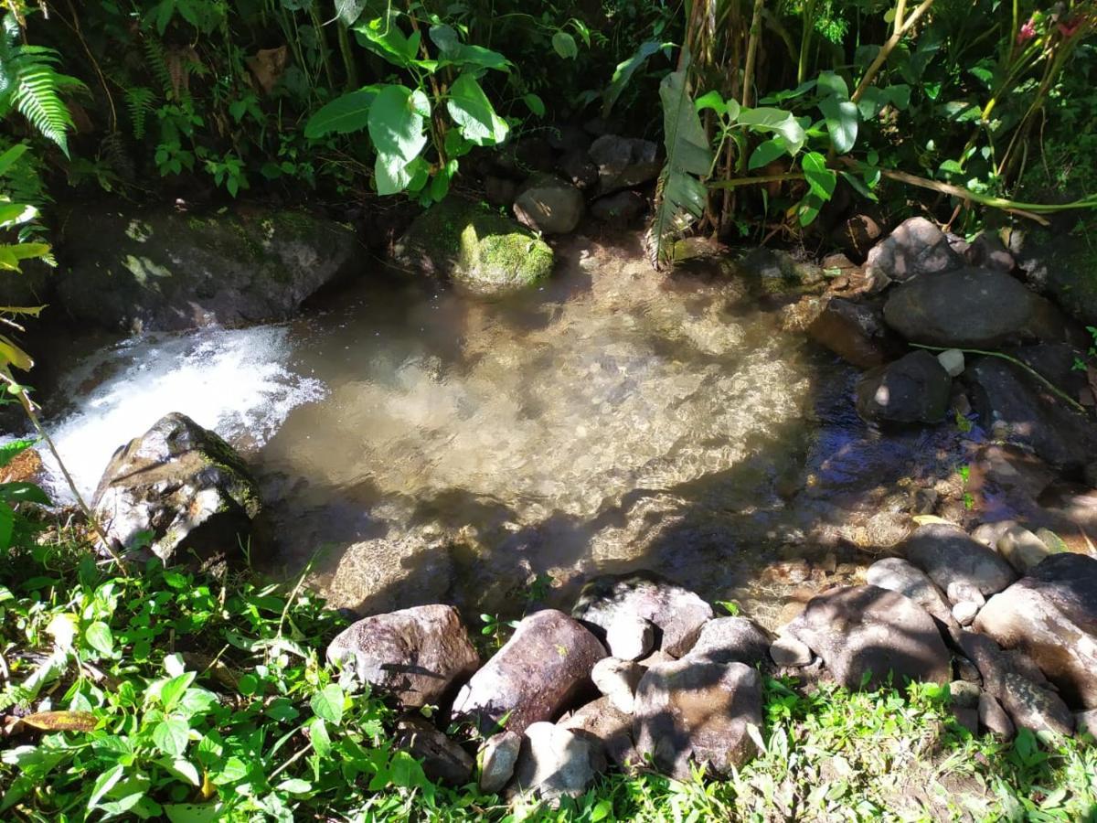 Mindo Eco Chalet Con Rio Y Cascada Zewnętrze zdjęcie