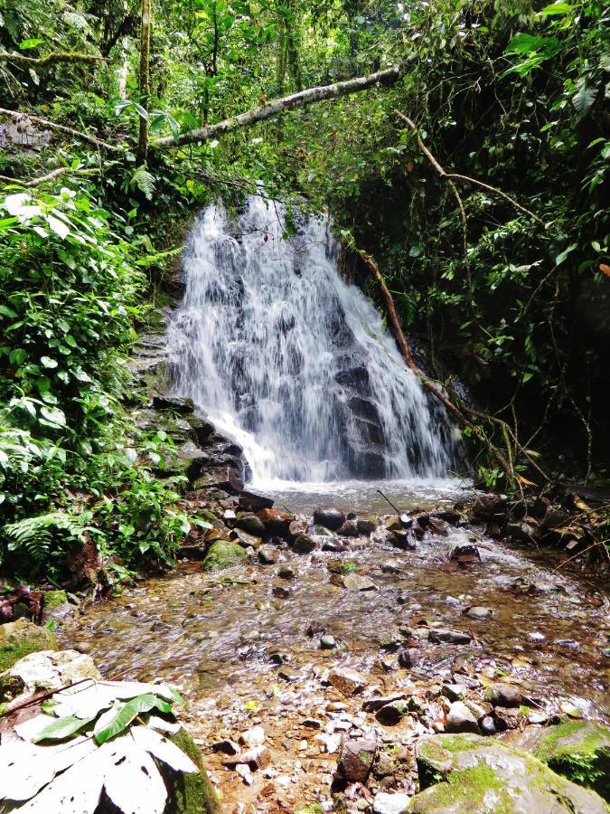 Mindo Eco Chalet Con Rio Y Cascada Zewnętrze zdjęcie