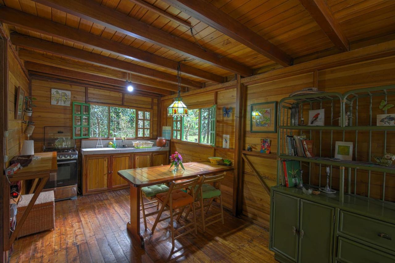 Mindo Eco Chalet Con Rio Y Cascada Zewnętrze zdjęcie