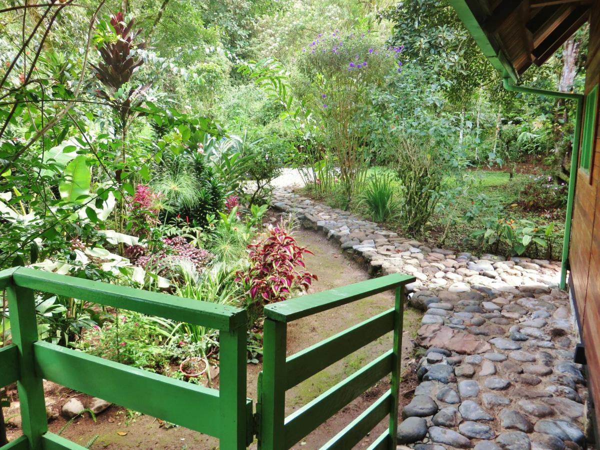 Mindo Eco Chalet Con Rio Y Cascada Zewnętrze zdjęcie
