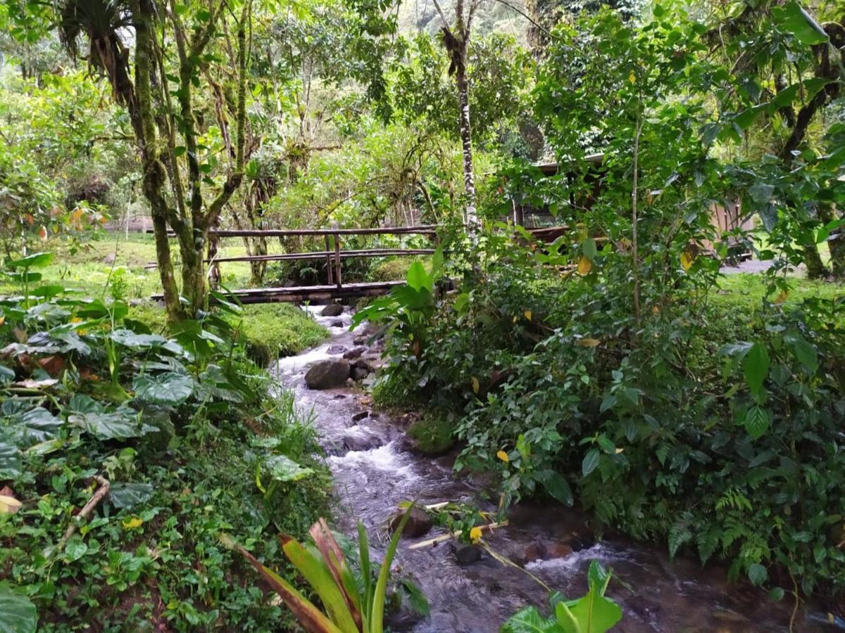 Mindo Eco Chalet Con Rio Y Cascada Zewnętrze zdjęcie