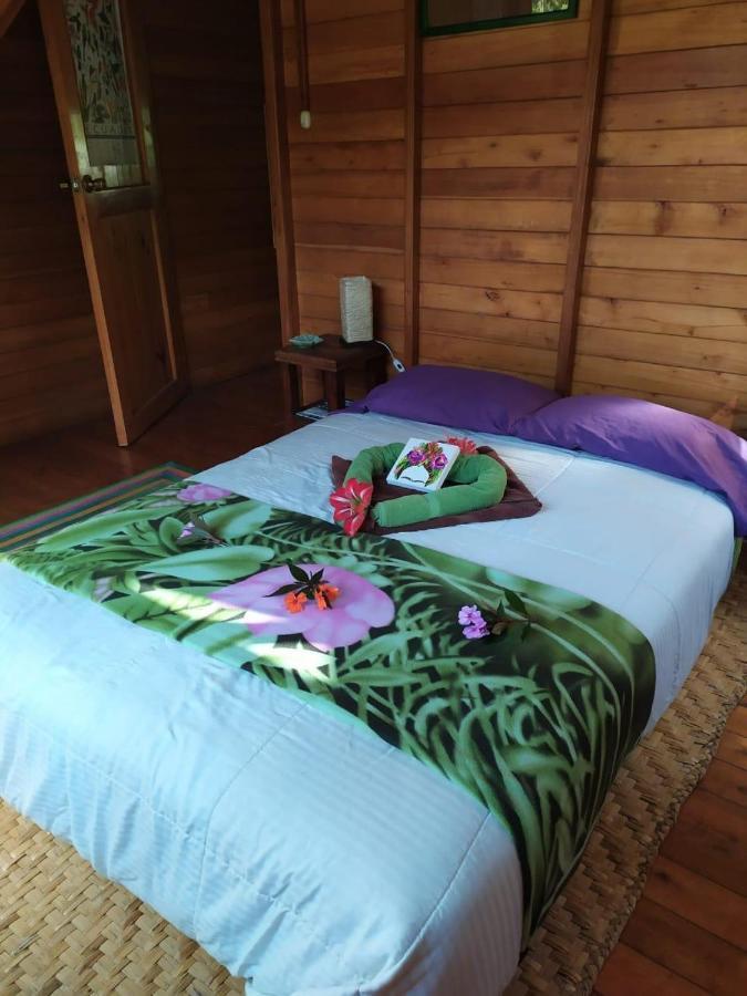 Mindo Eco Chalet Con Rio Y Cascada Zewnętrze zdjęcie
