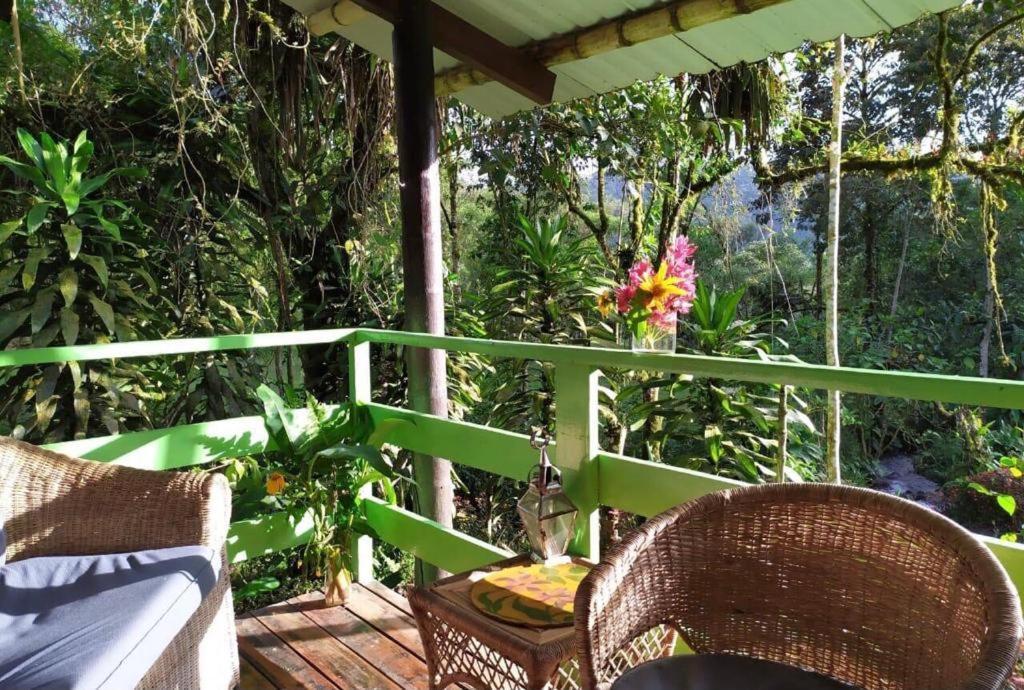 Mindo Eco Chalet Con Rio Y Cascada Zewnętrze zdjęcie
