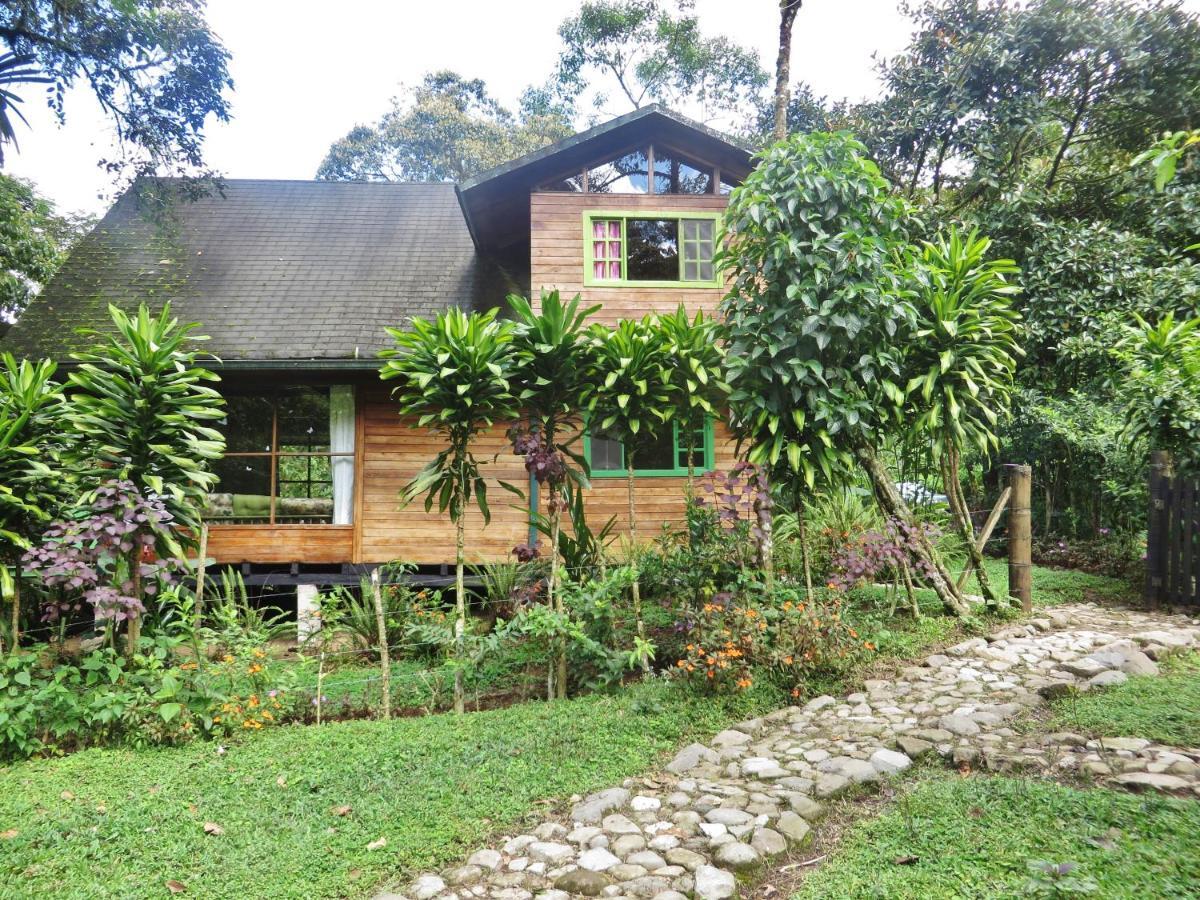 Mindo Eco Chalet Con Rio Y Cascada Zewnętrze zdjęcie