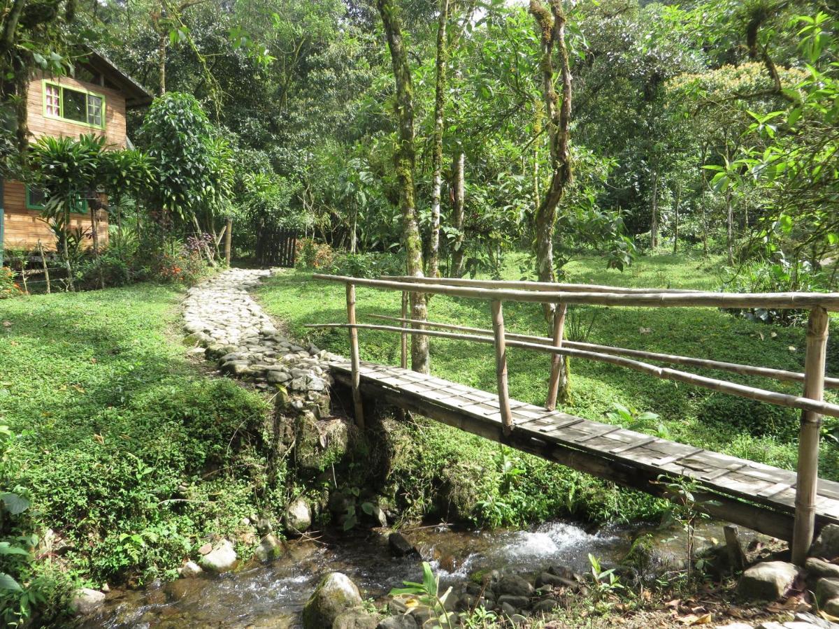 Mindo Eco Chalet Con Rio Y Cascada Zewnętrze zdjęcie